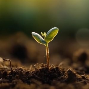 fertilidad